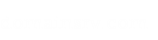domainsrv.com